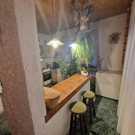 With Bbq In 55116 アパート *