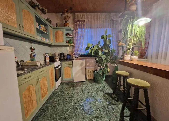 With Bbq In 55116 バラトンレッレ