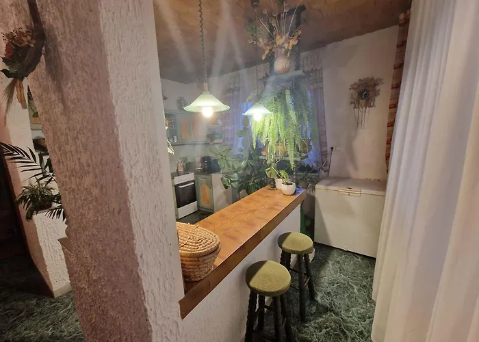 With Bbq In 55116 アパート *